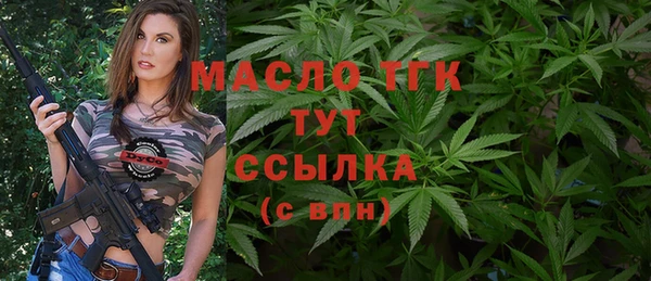 дживик Богородицк