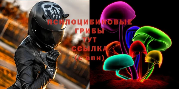 МДПВ Саяногорск