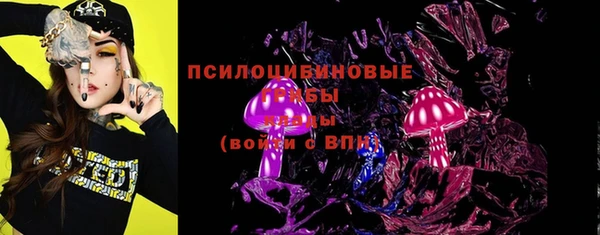 бошки Новозыбков