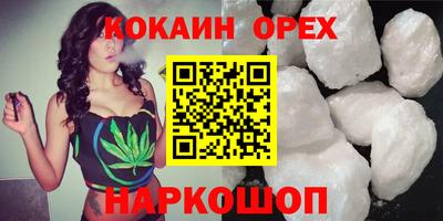 крисы Камышлов