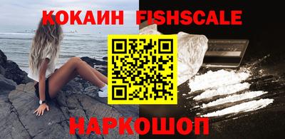 крисы Камышлов