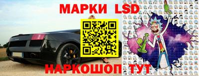 крисы Камышлов