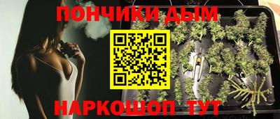 PSILOCYBIN Азнакаево