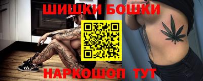 гашик Кингисепп