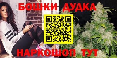 крисы Камышлов