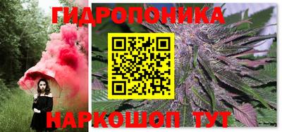 крисы Камышлов