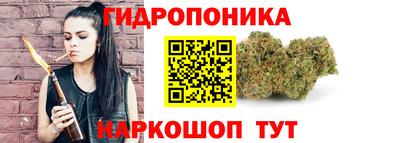 крисы Камышлов