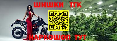 крисы Камышлов