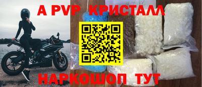 крисы Камышлов
