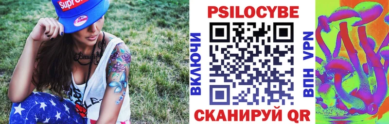 хочу Чусовой Псилоцибиновые грибы Psilocybe
