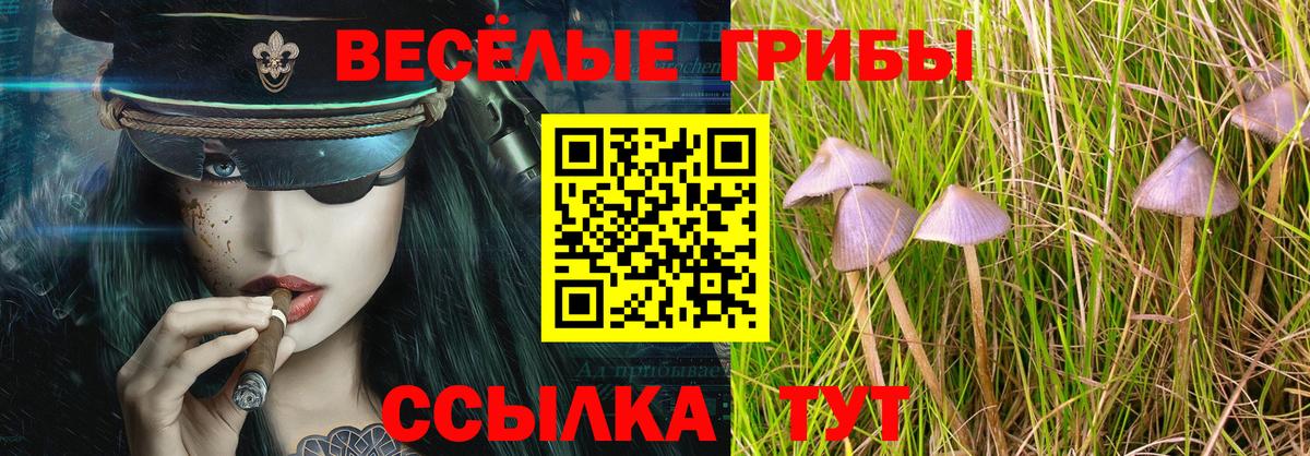 Псилоцибиновые грибы ЛСД Чусовой
