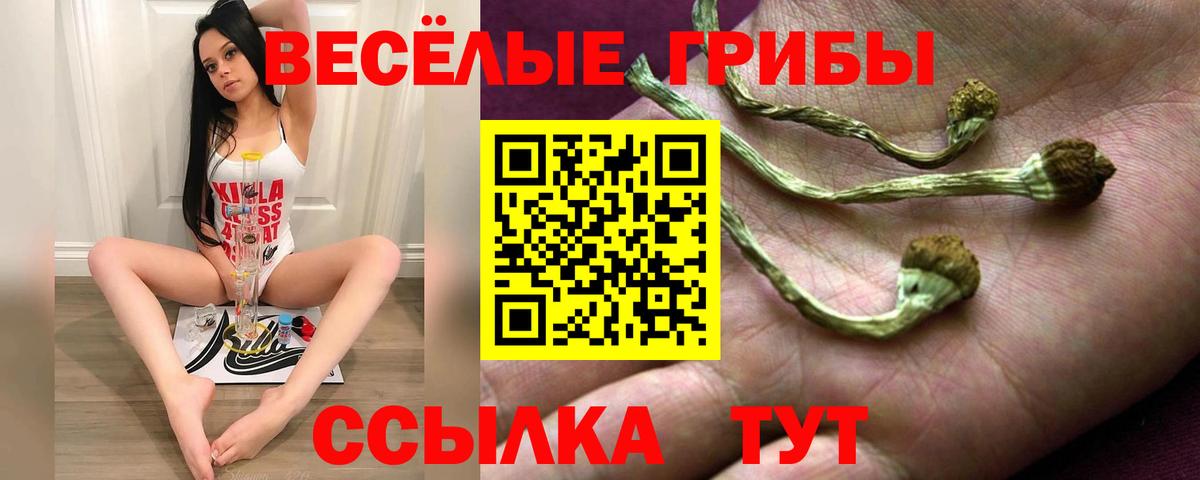 Чусовой  Галлюциногенные грибы GOLDEN TEACHER  Вход с VPN 